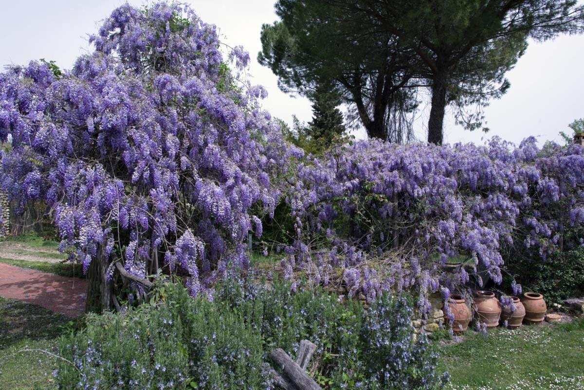 Вилла Molino In Chianti Mercatale Val Di Pesa Экстерьер фото