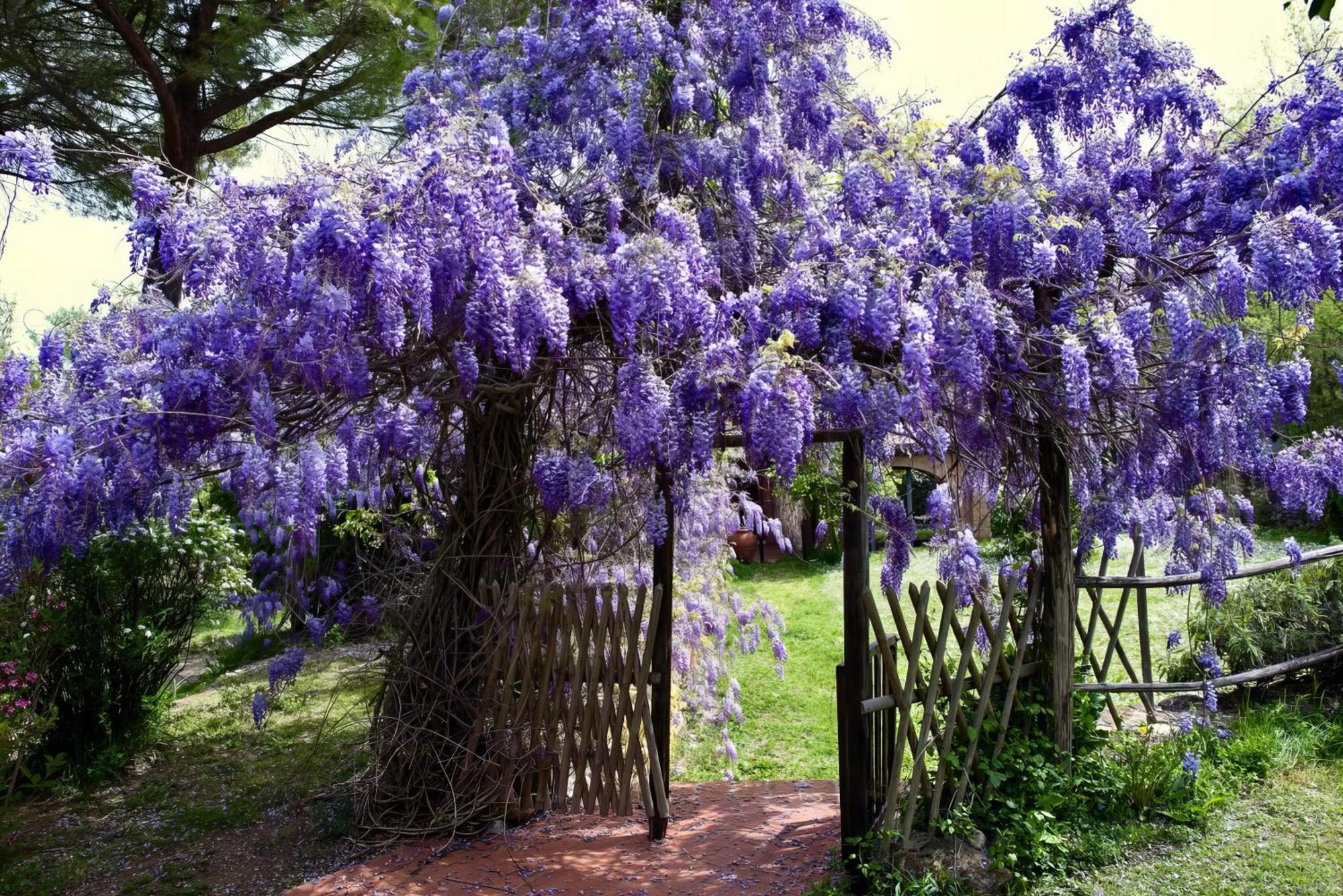 Вилла Molino In Chianti Mercatale Val Di Pesa Экстерьер фото