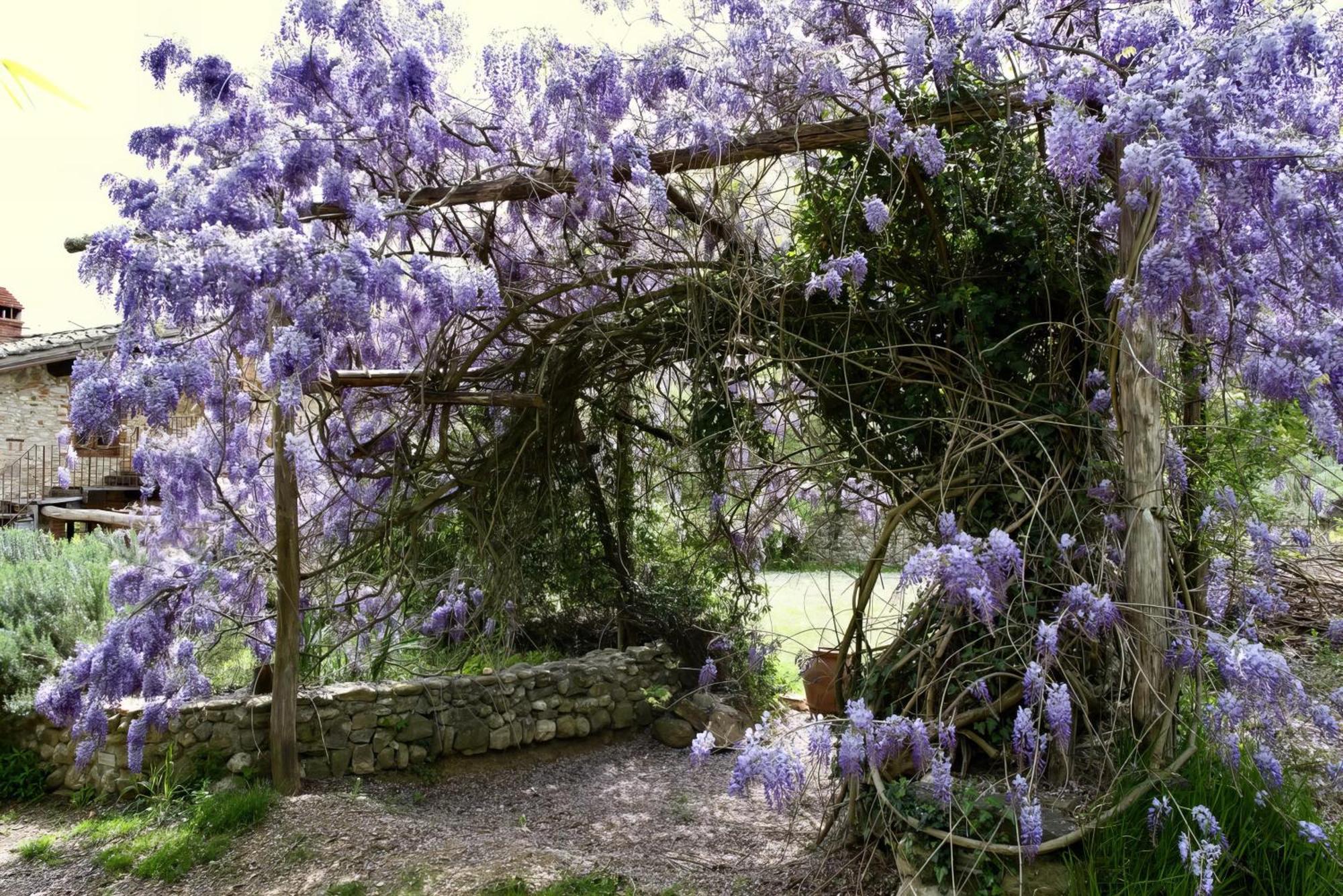 Вилла Molino In Chianti Mercatale Val Di Pesa Экстерьер фото
